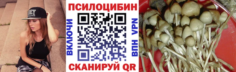Галлюциногенные грибы мицелий  Сорск 